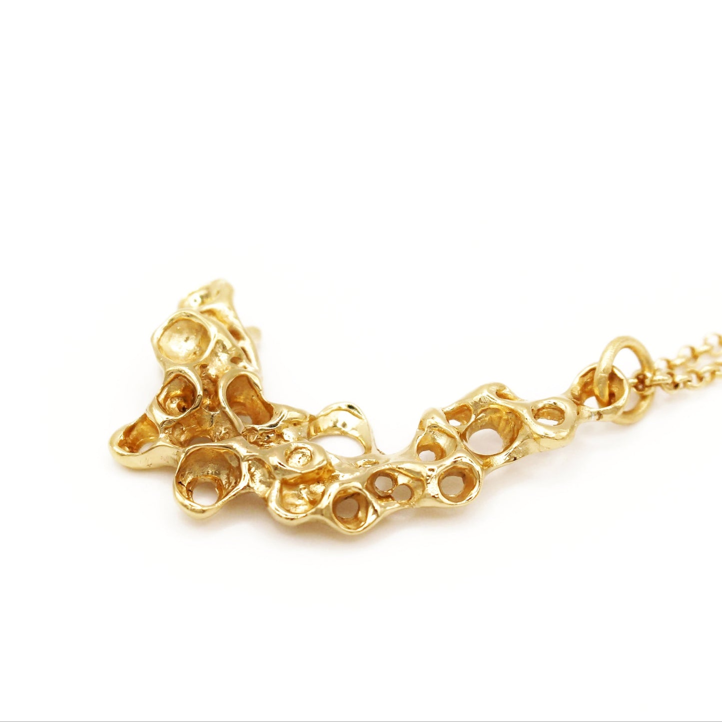 Gold plated barnacle pendant in recycled silver, meaningful jewelry symbolizing resilience