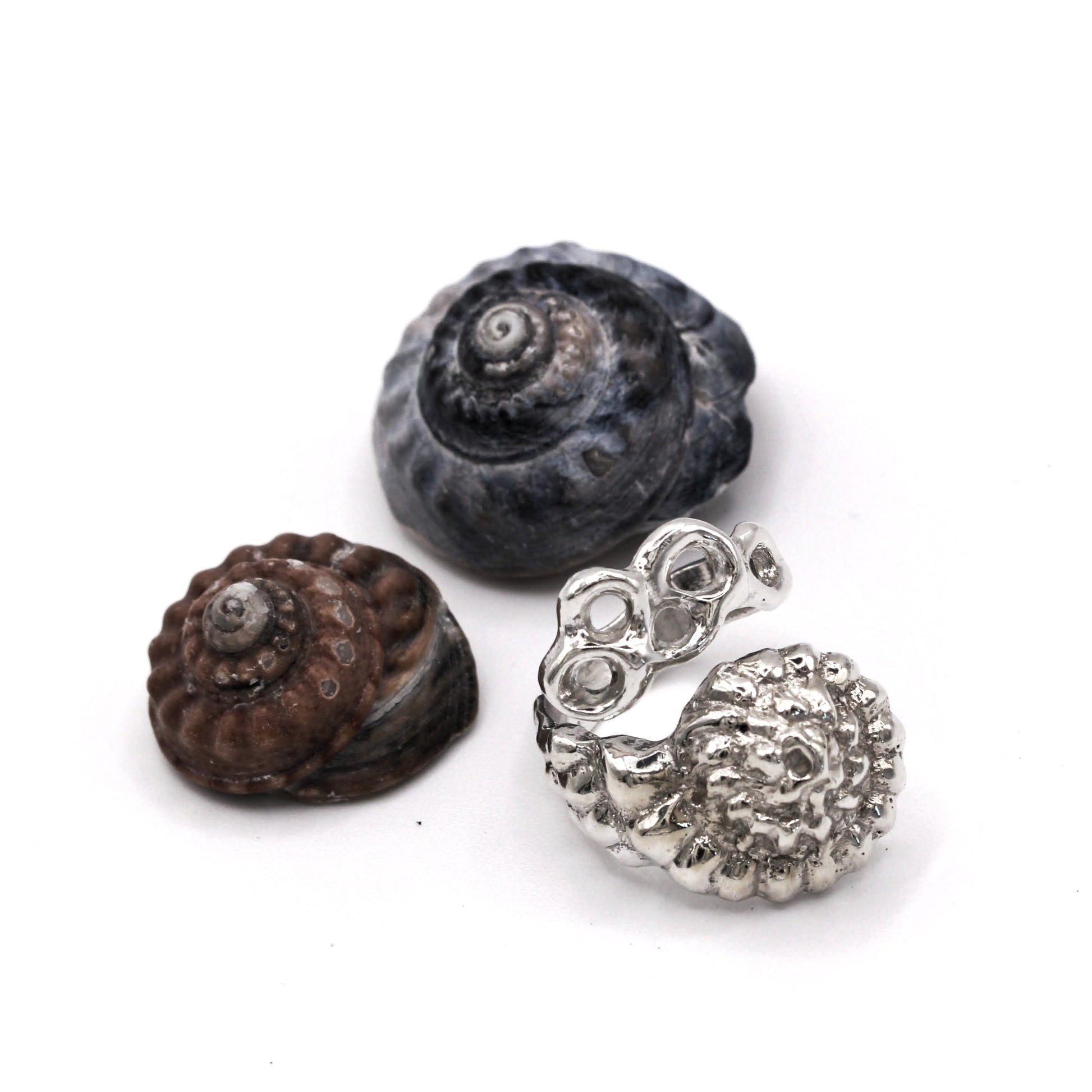 Two natural shells and a silver earring on a white background. Raíz Shell Ring in recycled sterling silver 925, sculptural barnacle and shell-inspired design.
Anillo Raíz Shell en plata reciclada 925, diseño escultural inspirado en percebes y conchas.