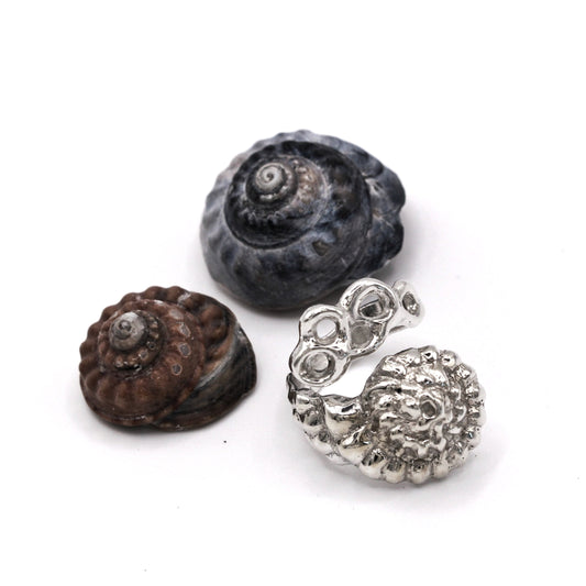 Two natural shells and a silver earring on a white background. Raíz Shell Ring in recycled sterling silver 925, sculptural barnacle and shell-inspired design.
Anillo Raíz Shell en plata reciclada 925, diseño escultural inspirado en percebes y conchas.
