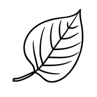 Leaf symbol for Ethical jewelry with purpose, created to protect the planet and carry personal meaning